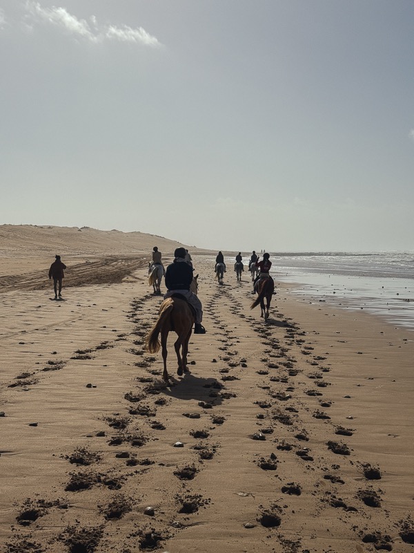 Horse riding on the beach